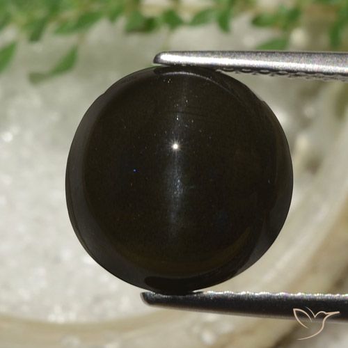 6.53ct Naturel Marron foncé Scapolite œil de chat, Tour, Translucide