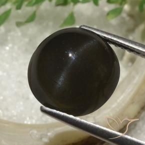 Scapolite œil de chat Marron foncé naturelle Tour, 6.53 ct, Translucide