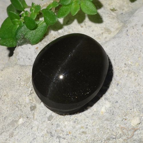 7.45ct Naturel Noire Scapolite œil de chat, ovale, Translucide