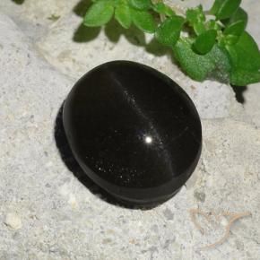 Scapolite œil de chat Noire naturelle ovale, 7.45 ct, Translucide