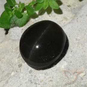 Scapolite œil de chat Noire naturelle ovale, 7.45 ct, Translucide