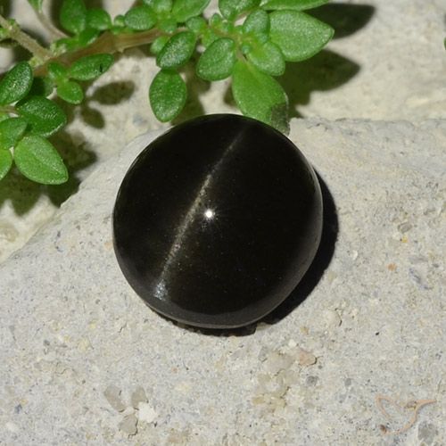 5.12ct Naturel Noire Scapolite œil de chat, ovale, Translucide