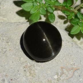 Scapolite œil de chat Noire naturelle ovale, 5.12 ct, Translucide