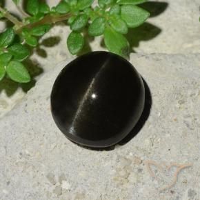 Scapolite œil de chat Noire naturelle ovale, 5.12 ct, Translucide