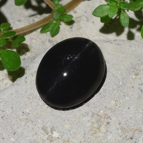 4.10ct Naturel Noire Scapolite œil de chat, ovale, Opaque