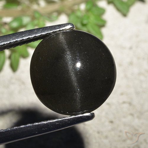 6.48ct Naturel Noire Scapolite œil de chat, Tour, Translucide