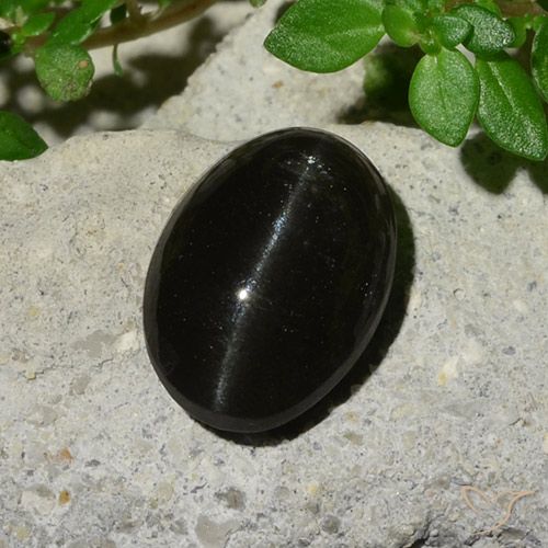 5.12ct Naturel Noire Scapolite œil de chat, ovale, Translucide