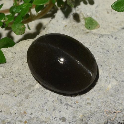 Cat's eye scapolite noir naturelle coupe ovale, 5,10 ct, translucide