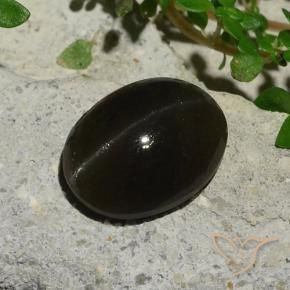 Cat's eye scapolite noir naturelle coupe ovale, 5,10 ct, translucide
