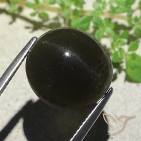 Scapolite œil de chat Noire naturelle ovale, 14.13 ct, Opaque