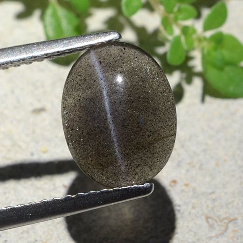 2.34ct Naturel Noire Scapolite œil de chat, ovale, Translucide