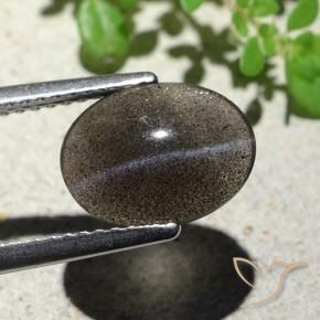 Scapolite œil de chat Noire naturelle ovale, 2.34 ct, Translucide
