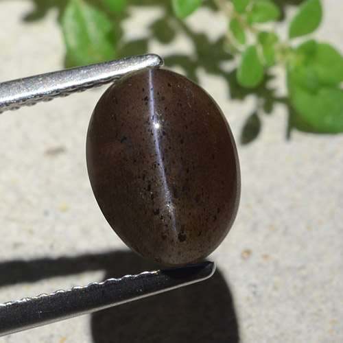 Scapolite œil de chat Noir chaud naturelle Coupe ovale, 4.04 ct, Translucide