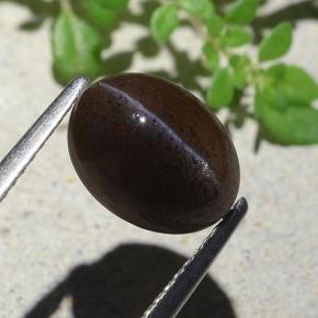 Scapolite œil de chat Noir chaud naturelle Coupe ovale, 4.04 ct, Translucide