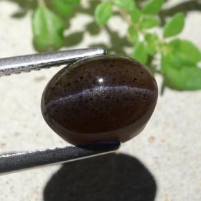 Scapolite œil de chat Noir chaud naturelle Coupe ovale, 4.04 ct, Translucide