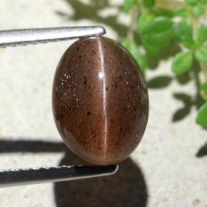 Cat's eye scapolite marron naturelle coupe ovale, 4,55 ct, translucide