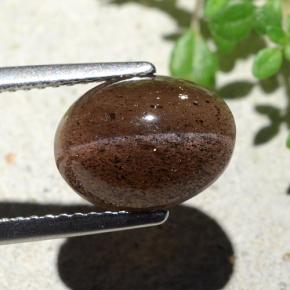 Cat's eye scapolite marron naturelle coupe ovale, 4,55 ct, translucide