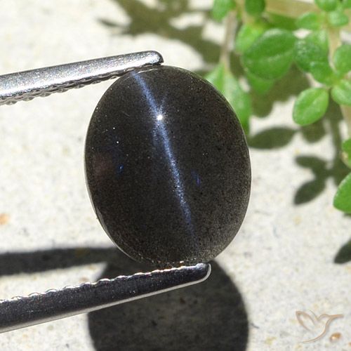 2.85ct Naturel Noire Scapolite œil de chat, ovale, Opaque