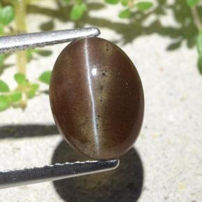 Cat's eye scapolite marron naturelle coupe ovale, 3,84 ct, translucide