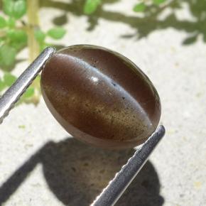 Cat's eye scapolite marron naturelle coupe ovale, 3,84 ct, translucide