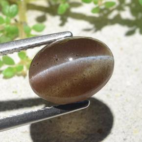 Cat's eye scapolite marron naturelle coupe ovale, 3,84 ct, translucide