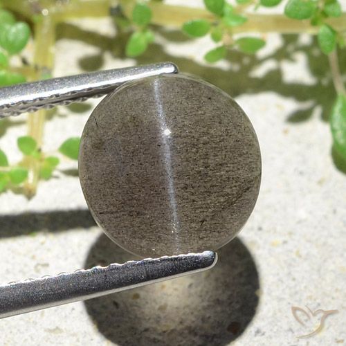 Cat's eye scapolite marron naturelle coupe ovale, 3,94 ct, translucide