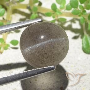 Cat's eye scapolite marron naturelle coupe ovale, 3,94 ct, translucide