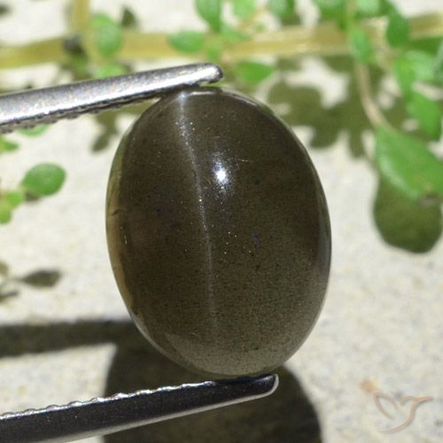4.70ct Naturel Brun moyen-léger Scapolite œil de chat, ovale, Translucide
