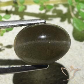 Scapolite œil de chat Brun moyen-léger naturelle ovale, 4.70 ct, Translucide