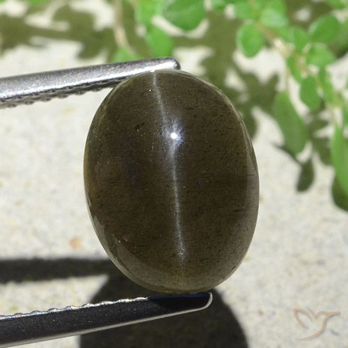 4.97ct Naturel Brun moyen-léger Scapolite œil de chat, ovale, Translucide