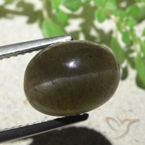 Scapolite œil de chat Brun moyen-léger naturelle ovale, 4.97 ct, Translucide
