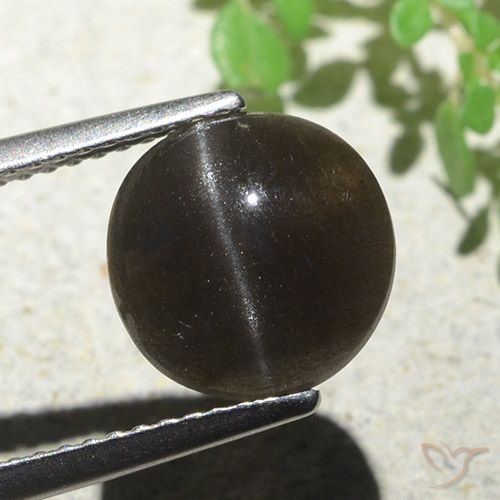 3.87ct Naturel Marron foncé Scapolite œil de chat, Tour, Translucide