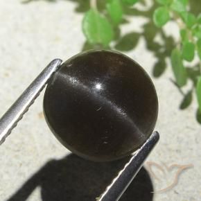 Scapolite œil de chat Marron foncé naturelle Tour, 3.87 ct, Translucide