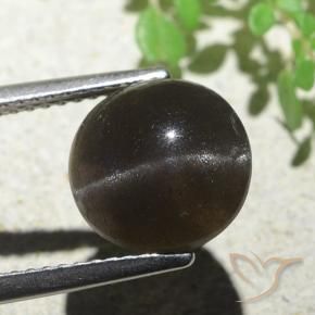 Scapolite œil de chat Marron foncé naturelle Tour, 3.87 ct, Translucide