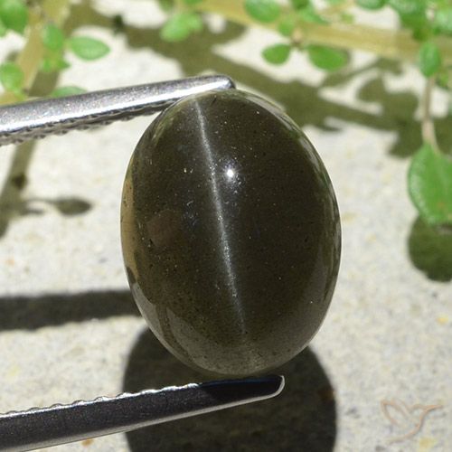 Cat's eye scapolite marron naturelle coupe ovale, 4,66 ct, translucide