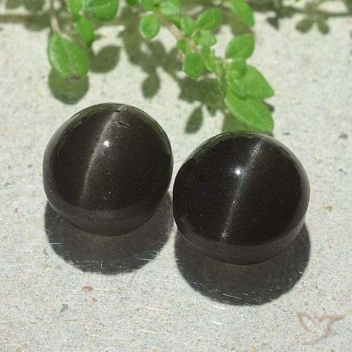 8.87ctw Naturel Noire Oeil de chat Scapolite, ovale, Translucide