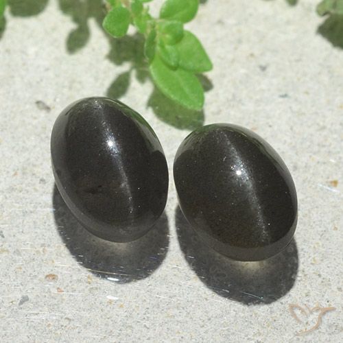 5.00ctw Naturel Noire Scapolite œil de chat, ovale, Translucide
