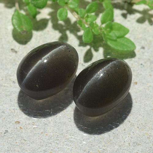 Achetez naturel 6,12ct noir cat's eye scapolite gems, coupe ovale, en provenance madagascar chez gemselect. en stock, livraison internationale!