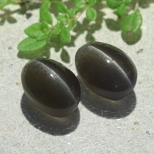 Achetez naturel 6,12ct noir cat's eye scapolite gems, coupe ovale, en provenance madagascar chez gemselect. en stock, livraison internationale!