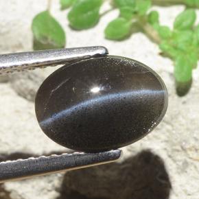 Cat's eye scapolite noir naturelle coupe ovale, 2,56 ct, translucide