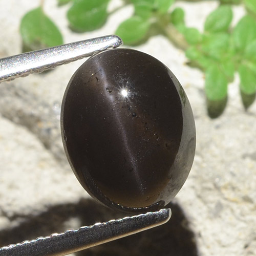 Scapolite œil de chat Noire naturelle Coupe ovale, 3.42 ct, Translucide