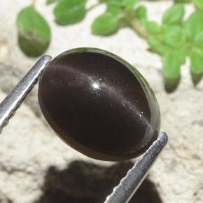 Scapolite œil de chat Noire naturelle Coupe ovale, 3.42 ct, Translucide