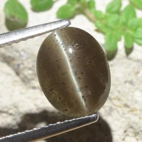 Scapolite œil de chat Brun moyen naturelle Coupe ovale, 2.60 ct, Translucide