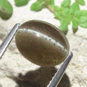 Scapolite œil de chat Brun moyen naturelle Coupe ovale, 2.60 ct, Translucide