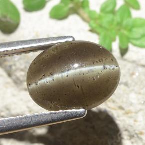Scapolite œil de chat Brun moyen naturelle Coupe ovale, 2.60 ct, Translucide
