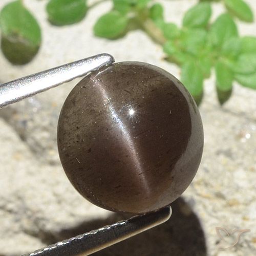 3.45ct Naturel Marron ambré Scapolite œil de chat, Tour, Translucide