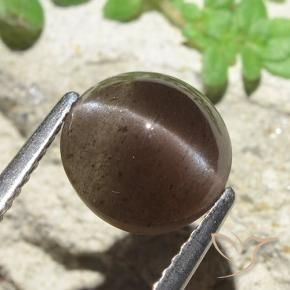 Scapolite œil de chat Marron ambré naturelle Tour, 3.45 ct, Translucide