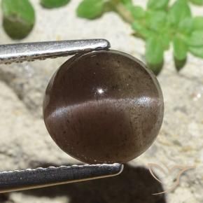 Scapolite œil de chat Marron ambré naturelle Tour, 3.45 ct, Translucide
