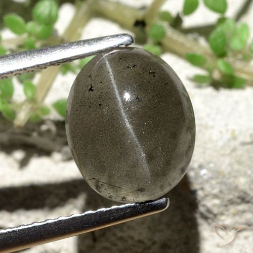 3.81ct Naturel Gris foncé Scapolite œil de chat, ovale, Translucide