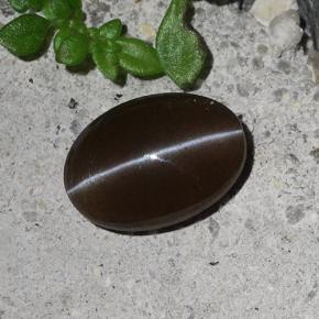 Scapolite œil de chat Brun naturelle Coupe ovale, 2.03 ct, Translucide